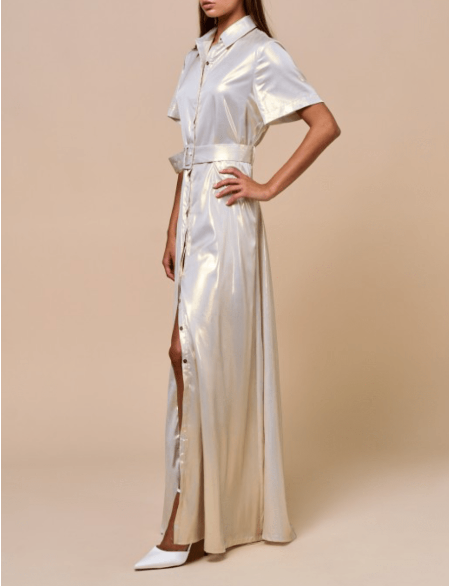 True to Size Champagne Maxi Dress - Button Down - Bella Boutique & Bellasbylola.com