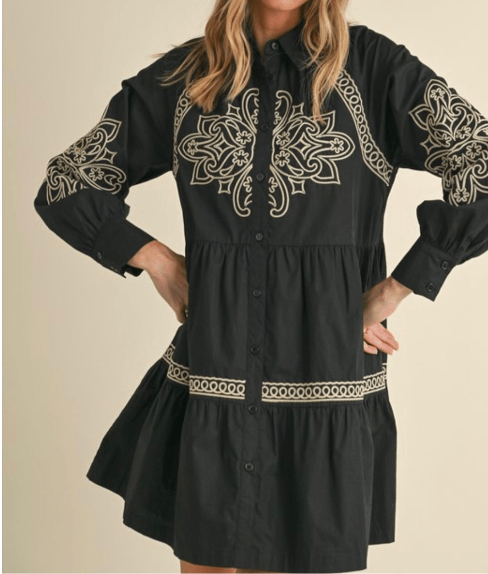 Elegant Embroidered Button-Down Mini Dress with Puff Sleeves - Bella Boutique & Bellasbylola.com