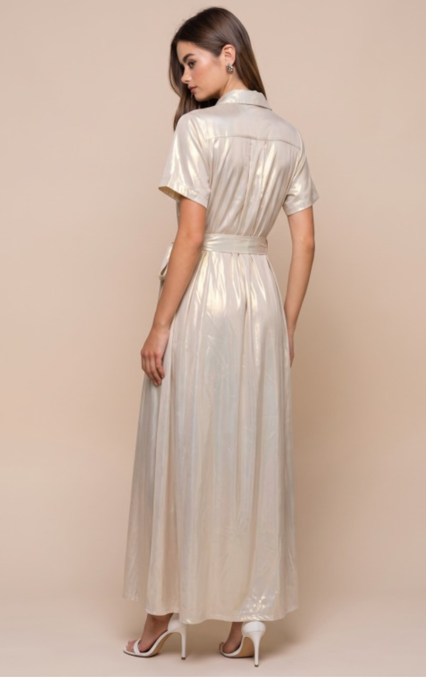 True to Size Champagne Button Down Maxi Dress