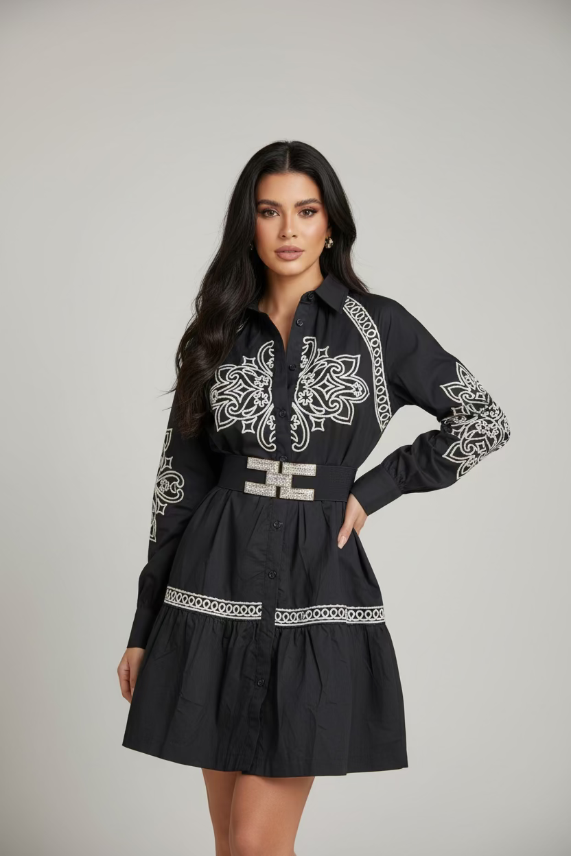 Elegant Embroidered Button-Down Mini Dress with Puff Sleeves - Bella Boutique & Bellasbylola.com